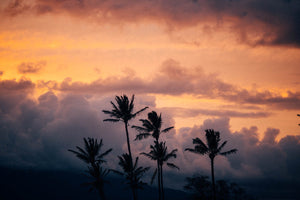 Photographic Print | Hawaiian Nights